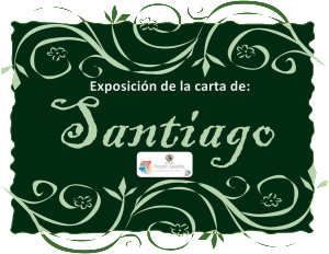 Gráfico Exposición Santiago