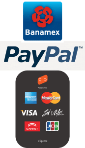 Formas de Pago FPE - vertical